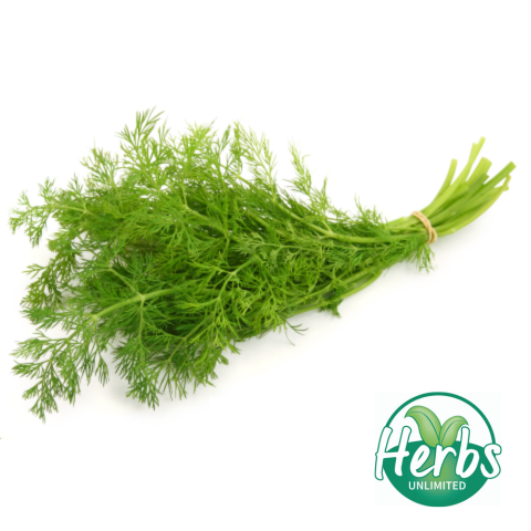 Fresh Dill (packet)