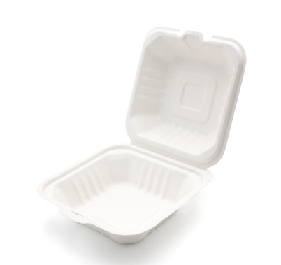6'' Bagasse Large Burger Box