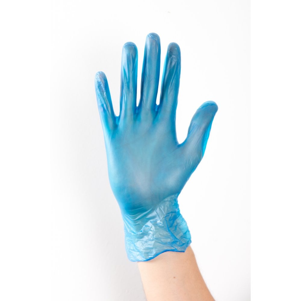 Blue Vinyl Gloves (large)