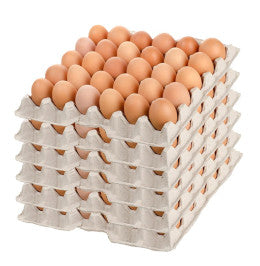 Large Free Range KT, 15 dozen