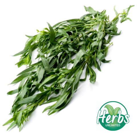 Fresh Tarragon (packet)