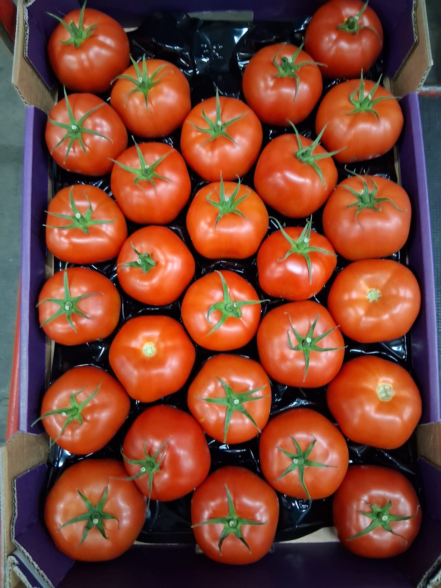Tomatoes (packet)