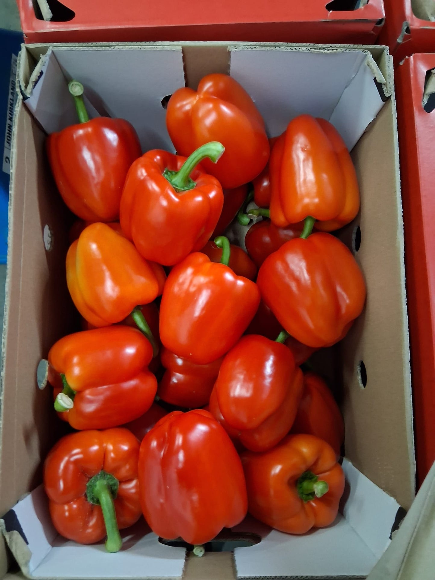 Red Peppers 70/90 (case)