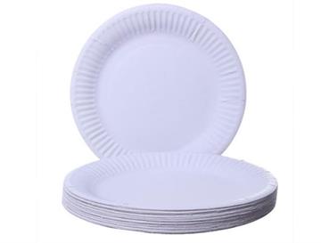 9" White Paper Plate