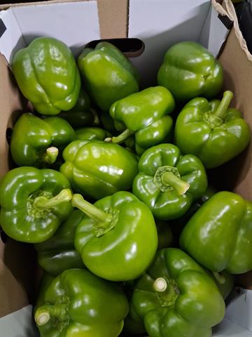 Green Peppers