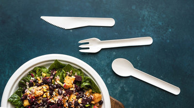 Disposable Tableware