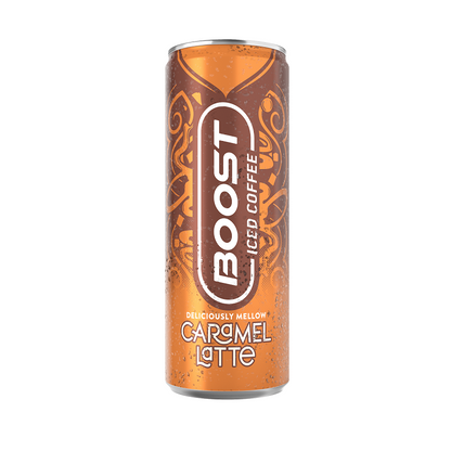 Iced Coffee Caramel Latte Cans