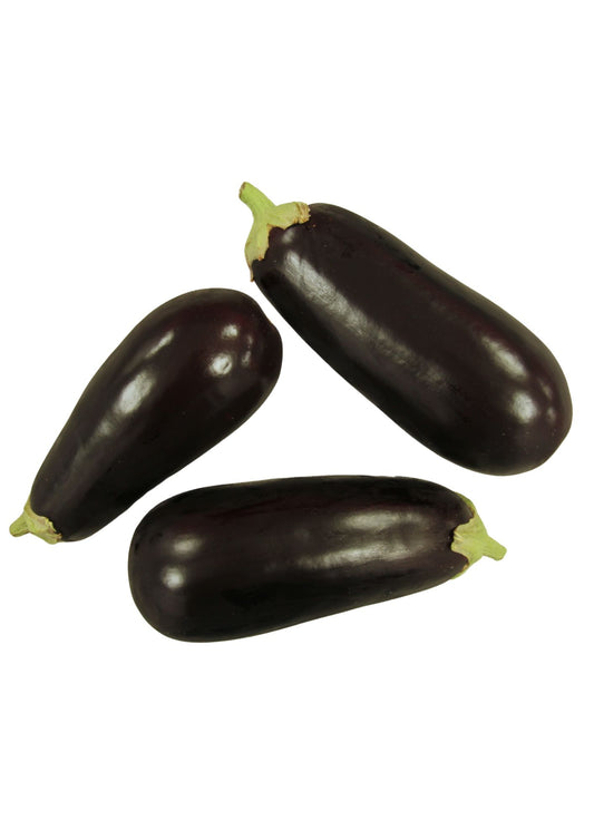 Aubergine