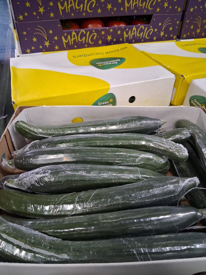 Cucumber (Case)