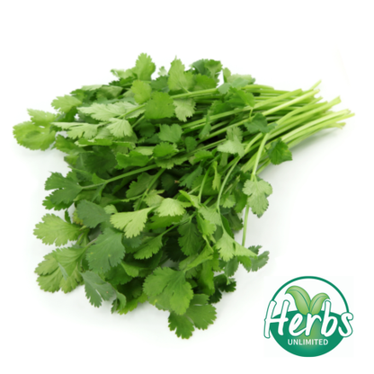 Fresh Coriander (bunch)