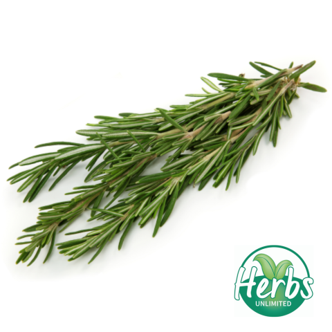 Fresh Rosemary (packet)