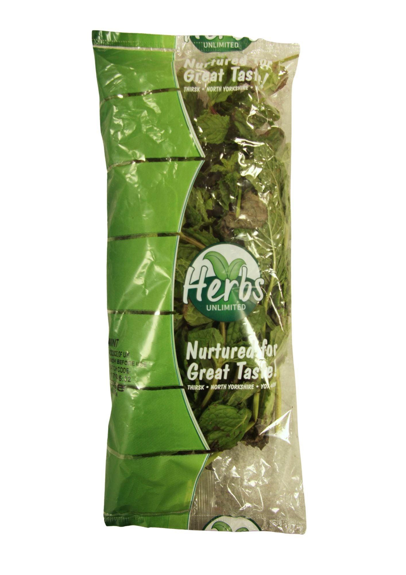 Fresh Mint