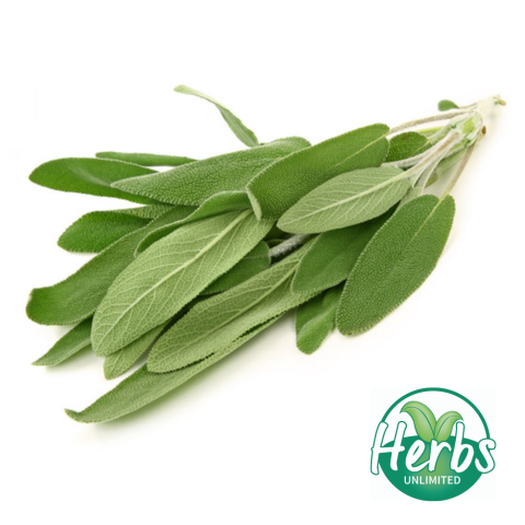 Fresh Sage