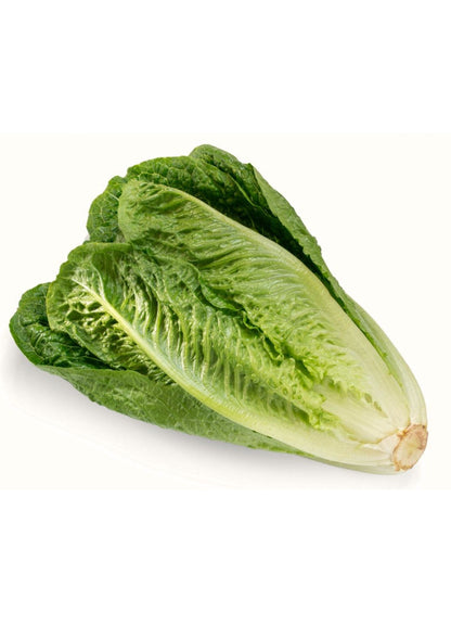 Cos Lettuce