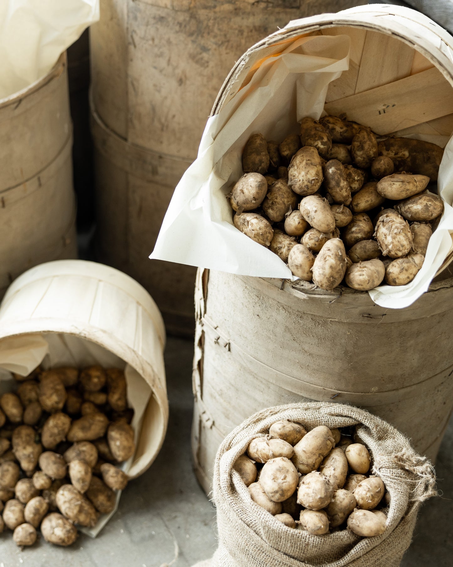 Dirty Potatoes (sack)