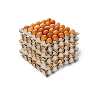 15 DOZEN KT MEDIUM EGGS
