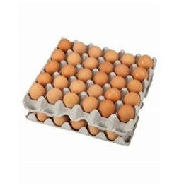 Medium Catering Pack Keys Tray Eggs