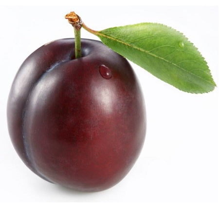 Plum