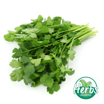 Fresh Coriander (bunch)