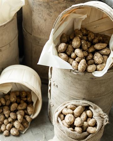 Dirty Potatoes (sack)