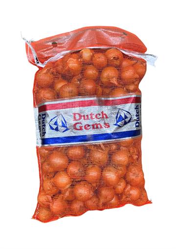 Medium Dutch Onions