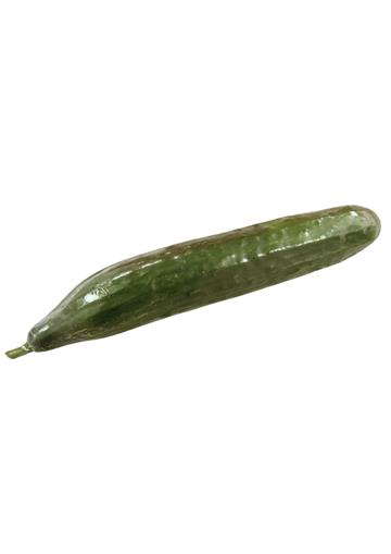 Cucumber