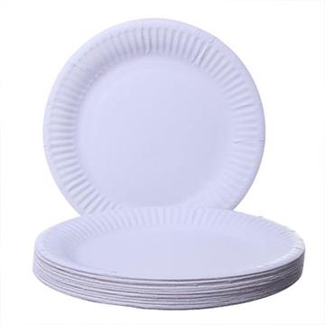 9" White Paper Plate