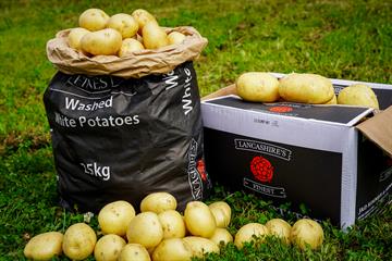 Washed Potatoes (sack)